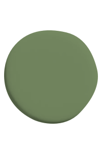 OLIVE GREEN 100ml