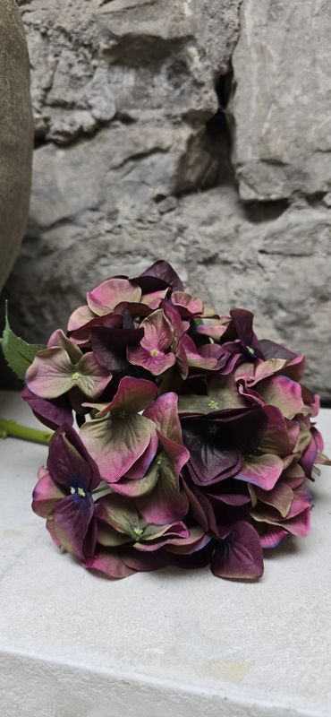 FIG AND OLIVE HYDRANGEA