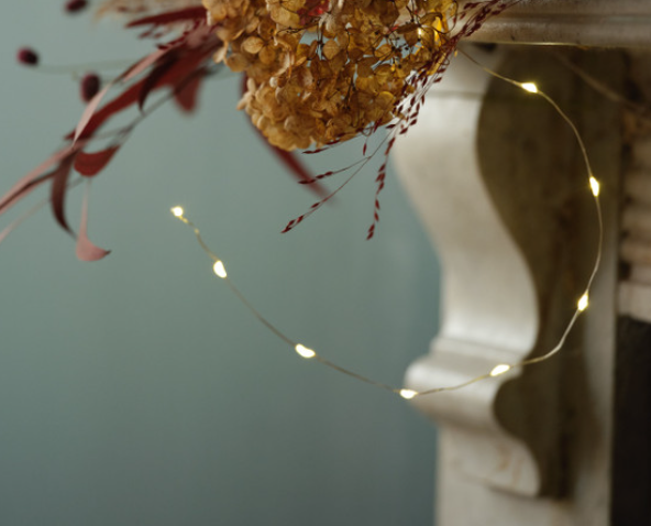 WIRE LIGHTS - COPPER 3M