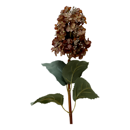 FLEUR HYDRANGEAS IN MOCCA