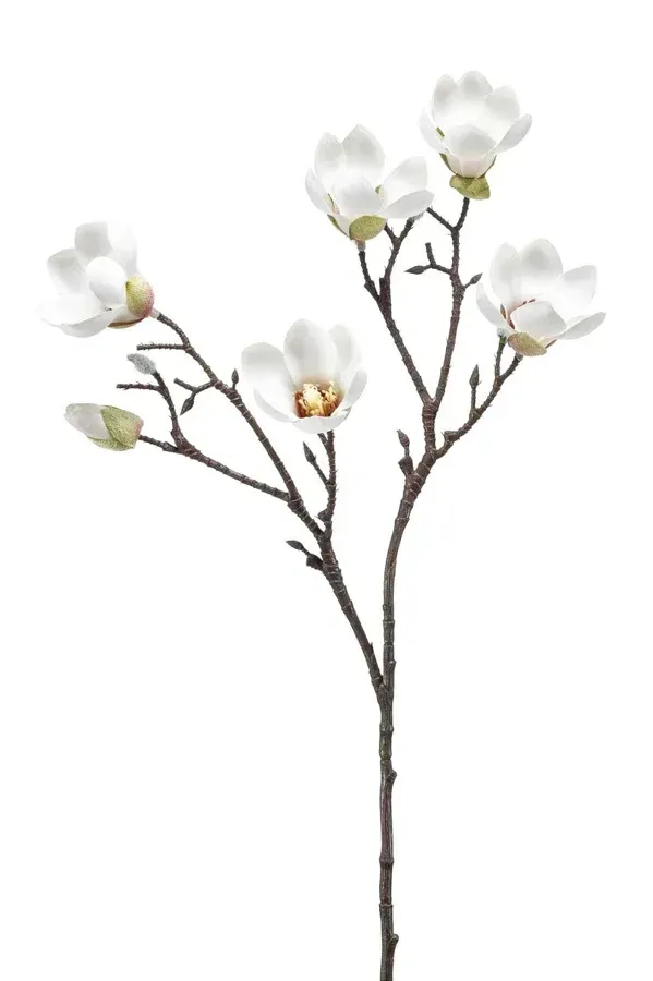 MAGNOLIA MINI SPRAY  IN CREAM