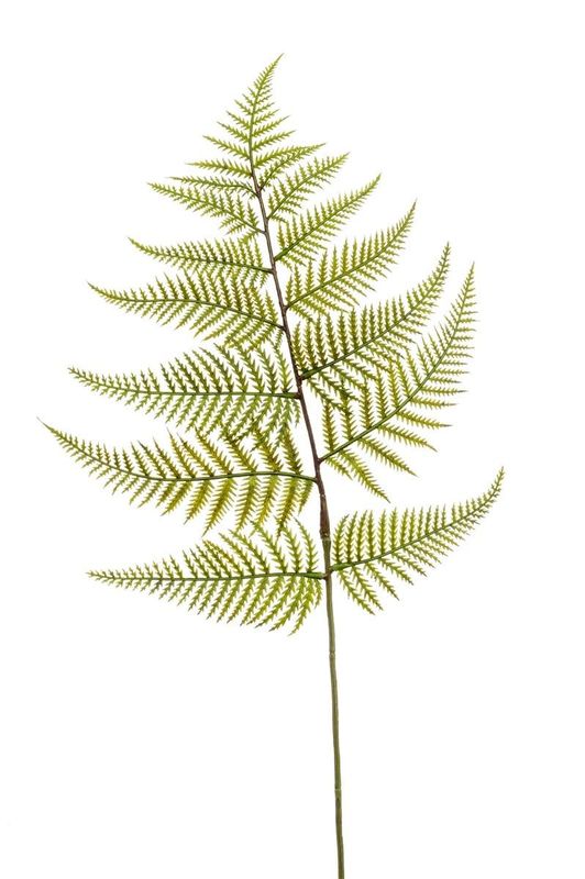 FERN SPRAY IN GREEN