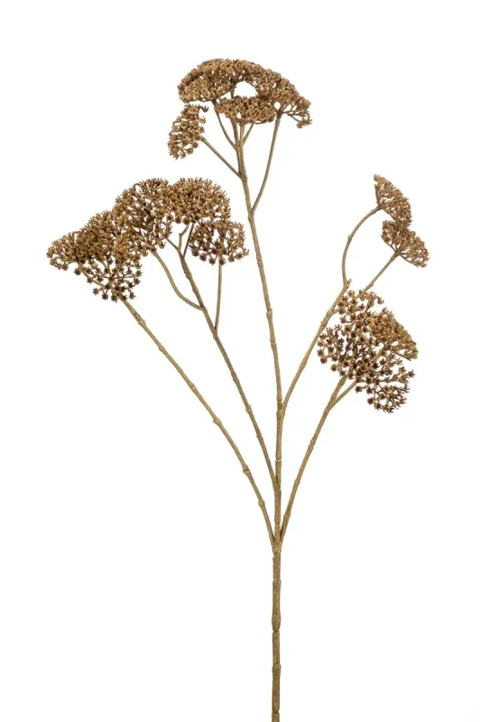 ACHILLEA SPRAY IN BROWN