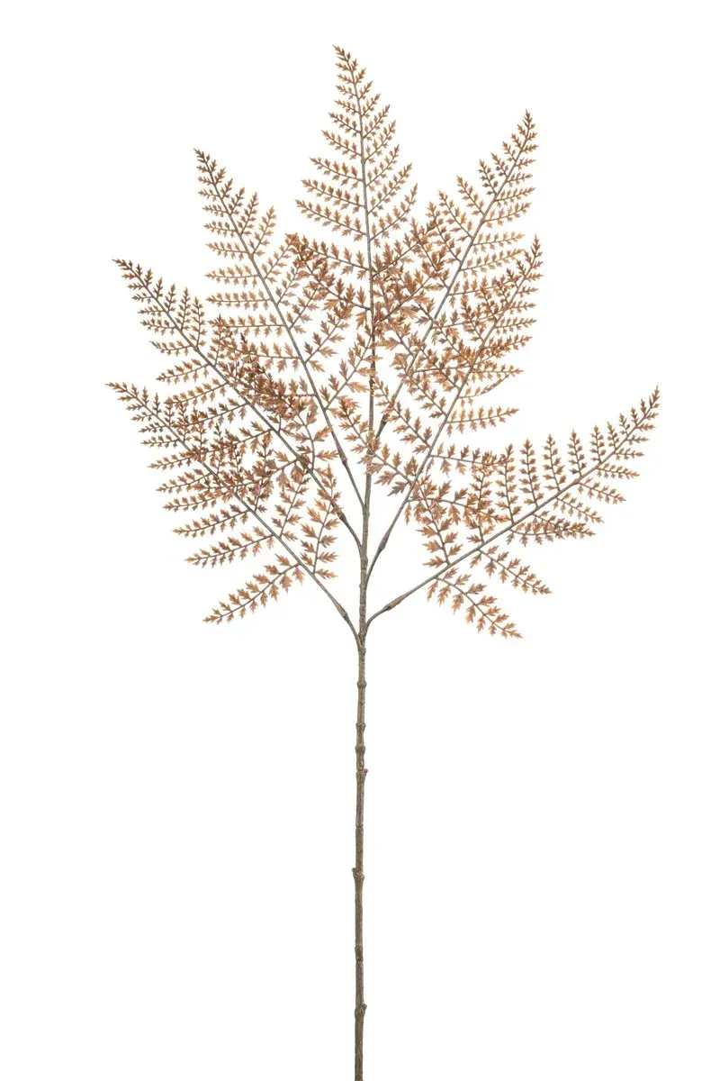 FERN SPRAY IN BROWN