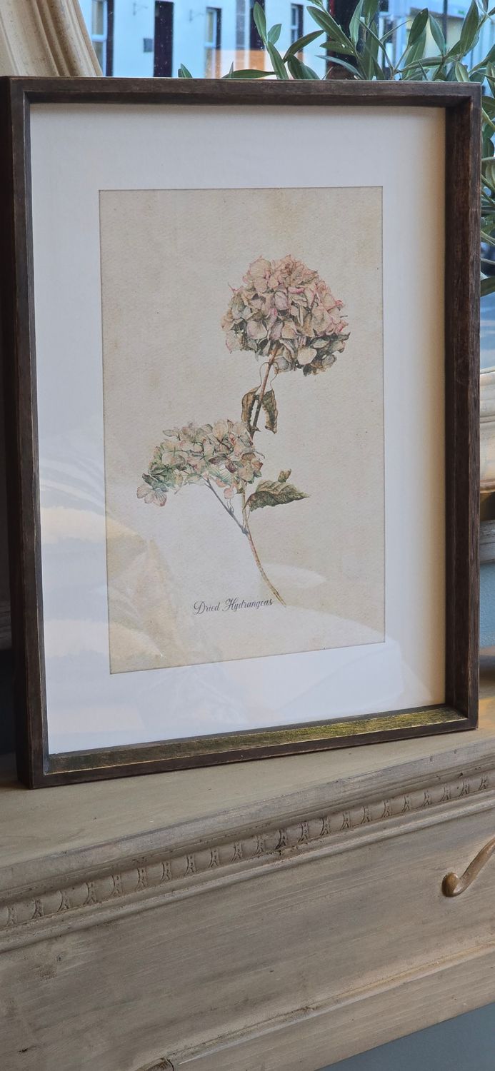 VINTAGE HYDRANGEA FRAMED PRINT NO 1