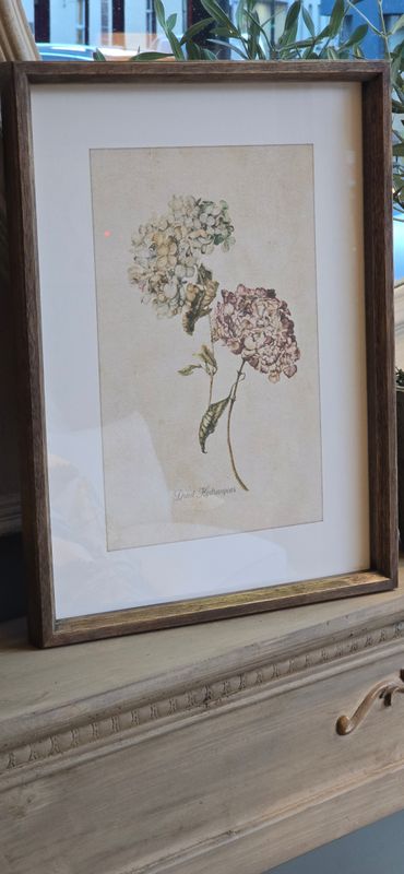 VINTAGE HYDRANGEA FRAMED PRINT NO 3