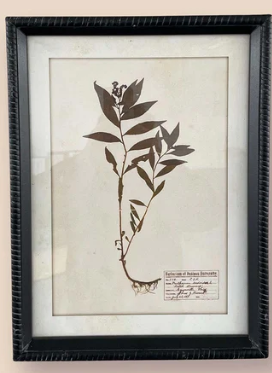 AGED FLORAL WALL ART NO 1