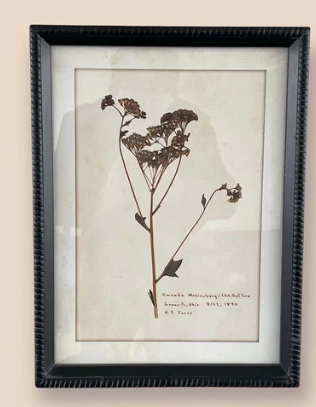 AGED FLORAL WALL ART NO 2