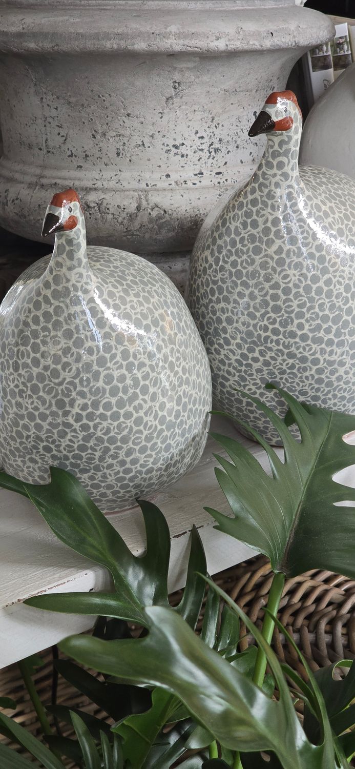LARGE GREY SPOTTED GUINEA FOWL