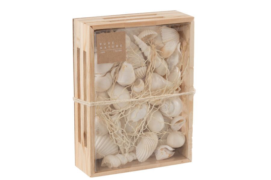 BOX OF ASSORTED WHITE DECOR SHELLS