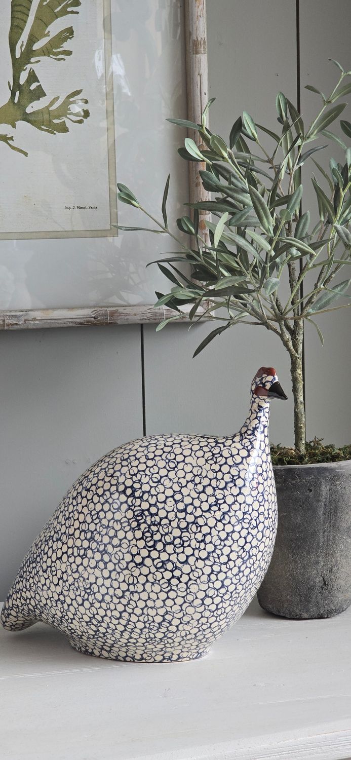 LARGE DARK NAVY AND WHITE SPOTTED GUINEA FOWL