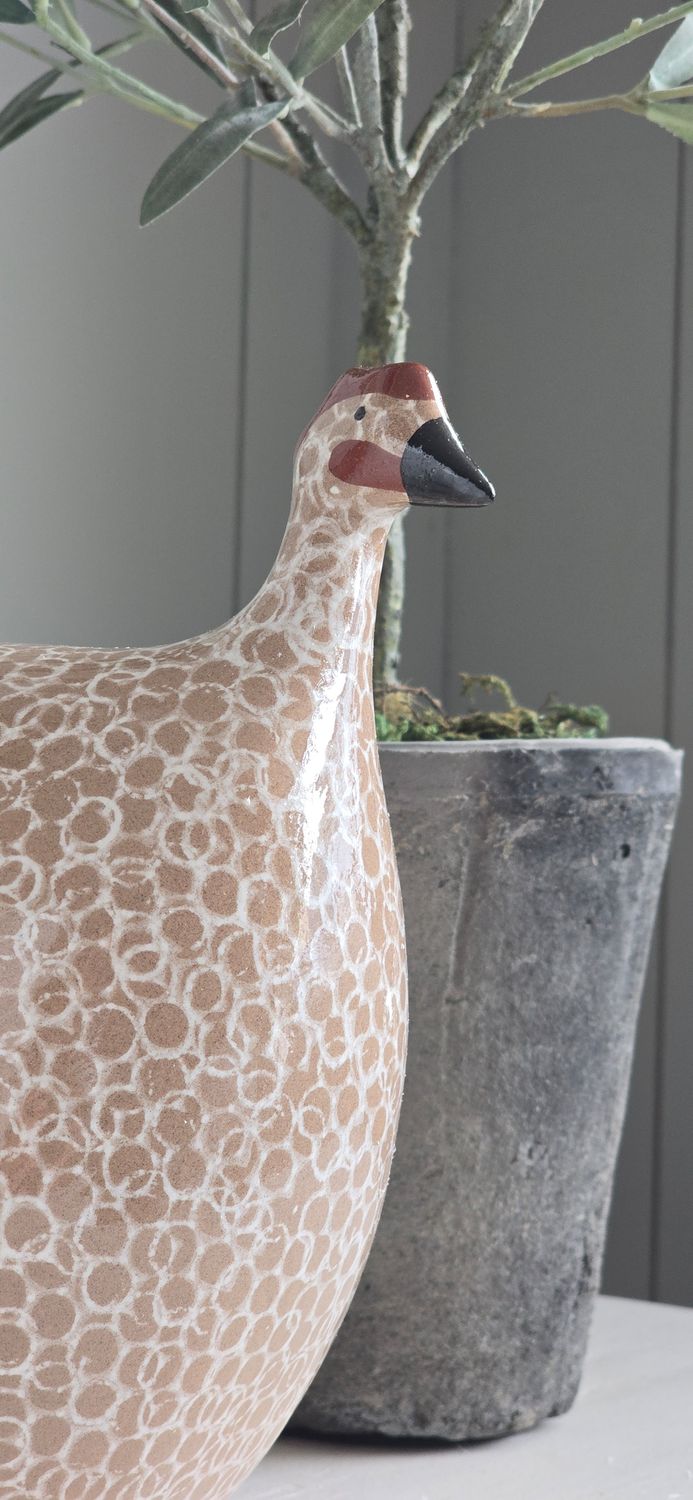 MEDIUM CLAY SPOTTED GUINEA FOWL