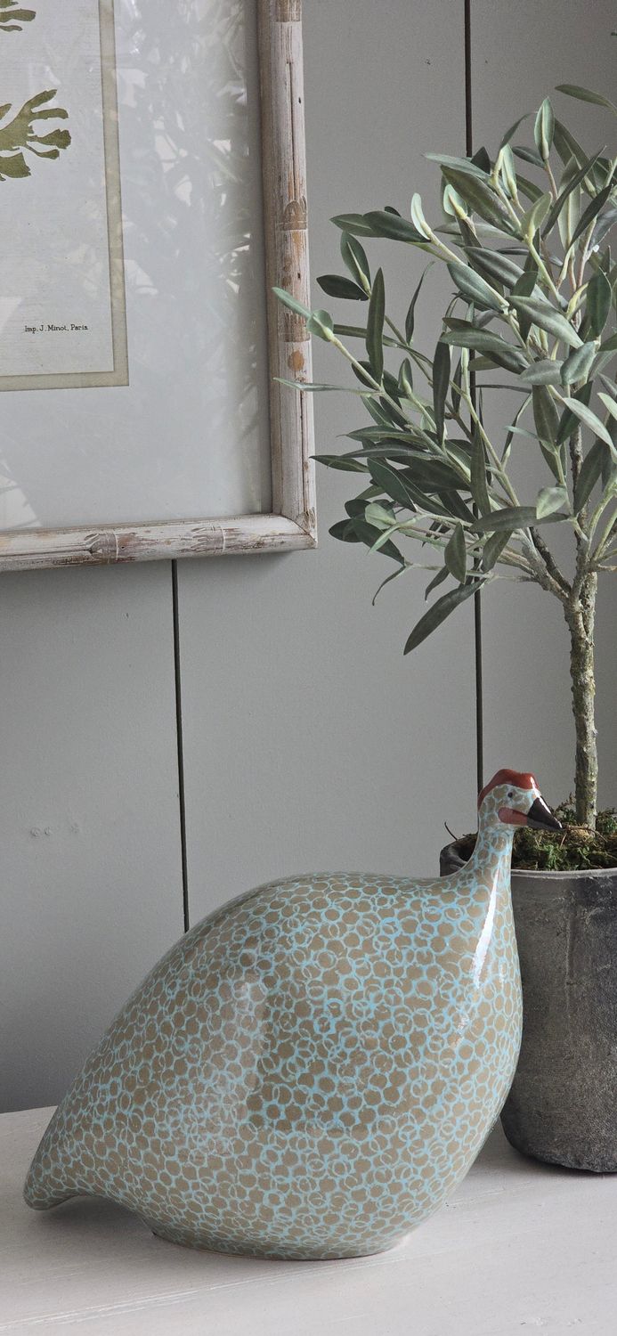 MEDIUM TURQUOISE SPOTTED GUINEA FOWL