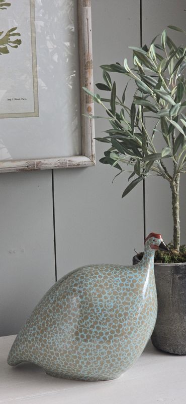 MEDIUM TURQUOISE SPOTTED GUINEA FOWL