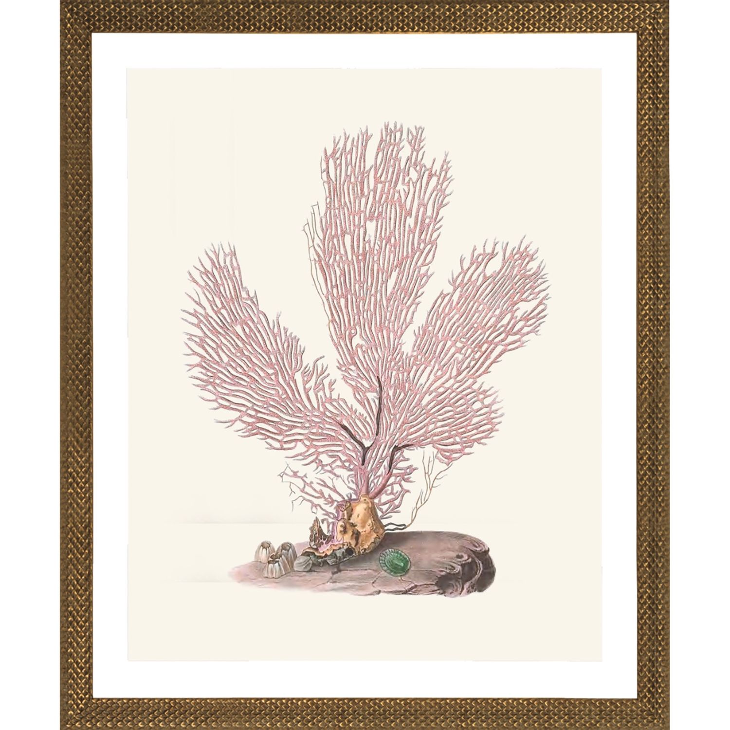 TERRA COTTA CORAL FRAMED PRINT No1