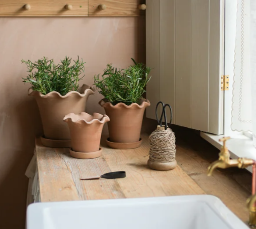 FRILLY TERRACOTTA PLANT POT IN LARGE