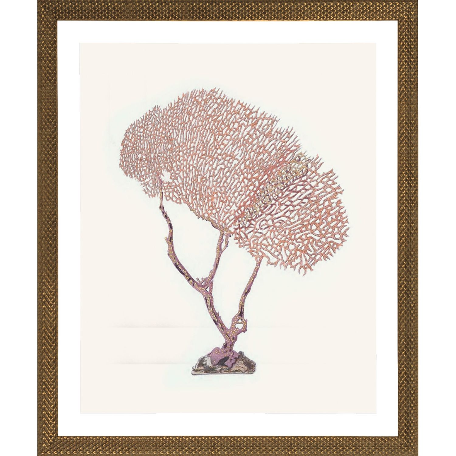 TERRA COTTA CORAL FRAMED PRINT No2