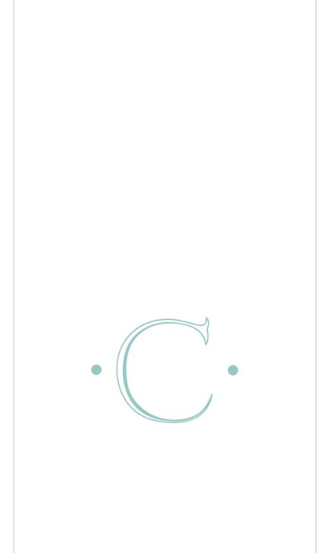 MONOGRAM PAPER LINEN GUEST NAPKINS -  INITIAL C