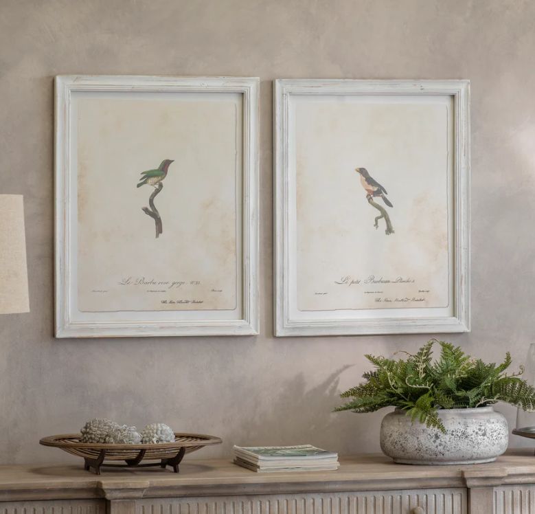 MORETON SET OF 2 BIRD PRINTS