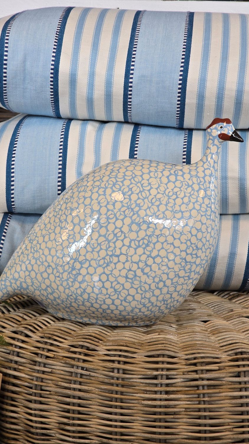MEDIUM POLAR BLUE SPOTTED GUINEA FOWL