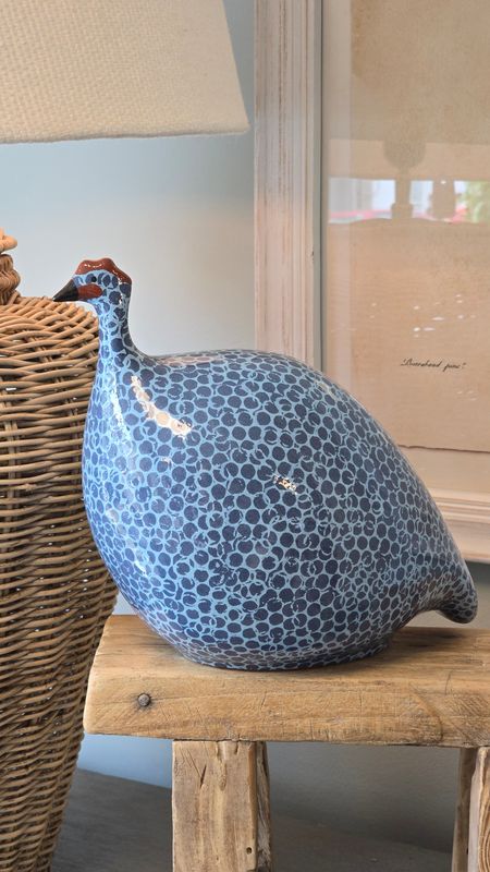 MEDIUM POLAR BLUE AND BLUE SPOTTED GUINEA FOWL