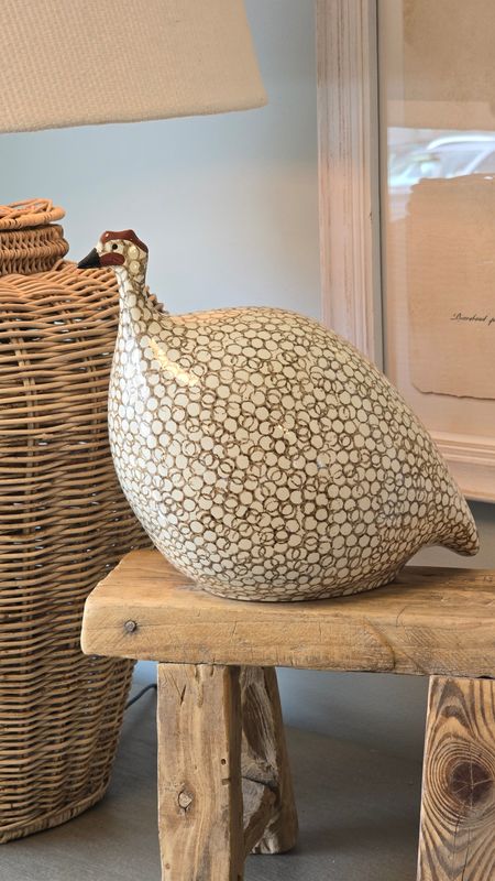MEDIUM BROWN SPOTTED WHITE GUINEA FOWL