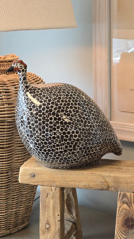 MEDIUM DARK BROWN AND WHITE SPOTTED GUINEA FOWL