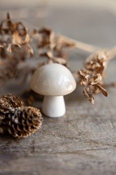 MINI BEIGE MUSHROOM