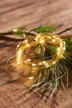 INDOOR OUTDOOR BRASS WIRE 40 LED BATTERY LIGHTS