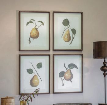 CROSTON SET OF 4 FRAMED PEAR PRINTS