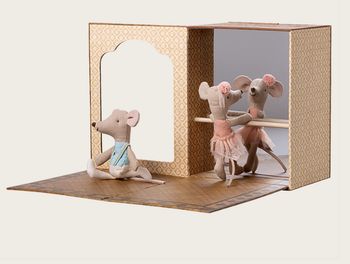 BALLET MICE IN A DANCE STUDIO
