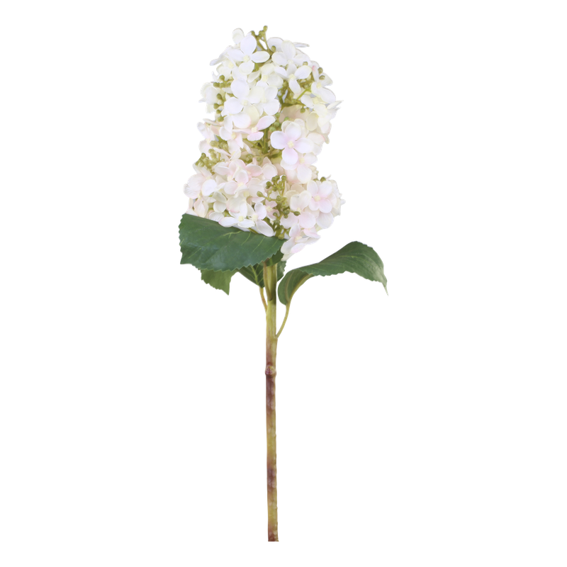 FLEUR HYDRANGEAS IN CREAM