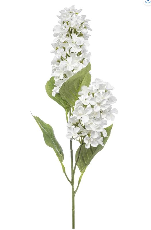 HYDRANGEA PANICULATA SPRAY IN WHITE