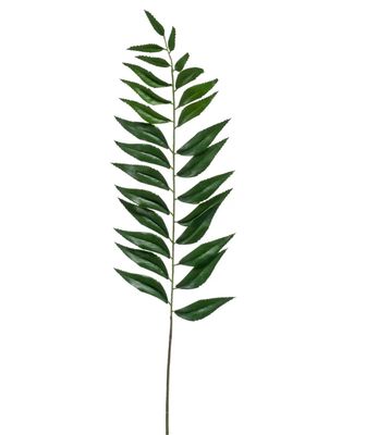 MAHONIA LEAF SPRAY 80cm MAHONIA LEAF SPRAY 80cm