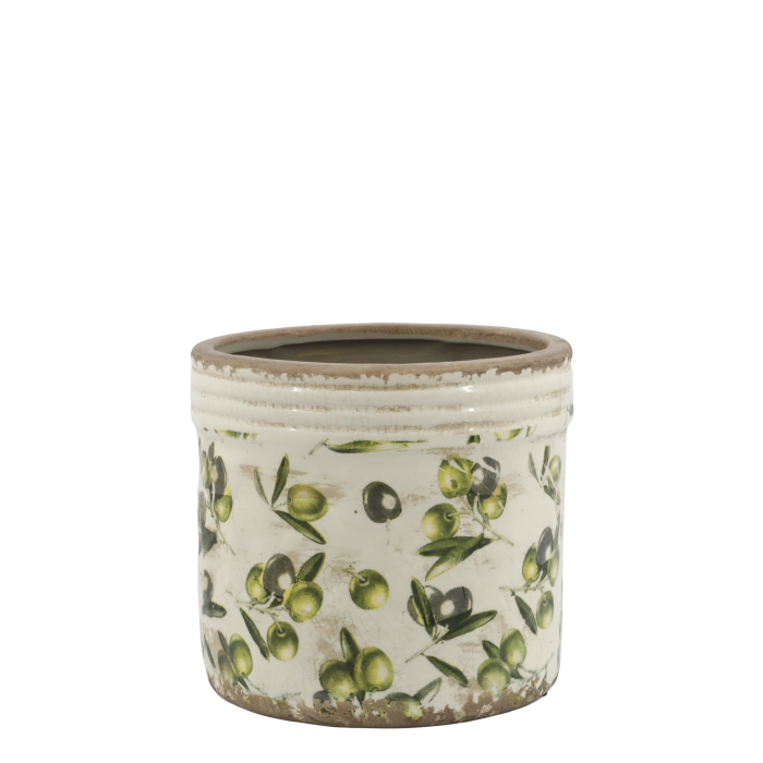 OLIA OLIVE DESIGN PLANTER IN LARGE