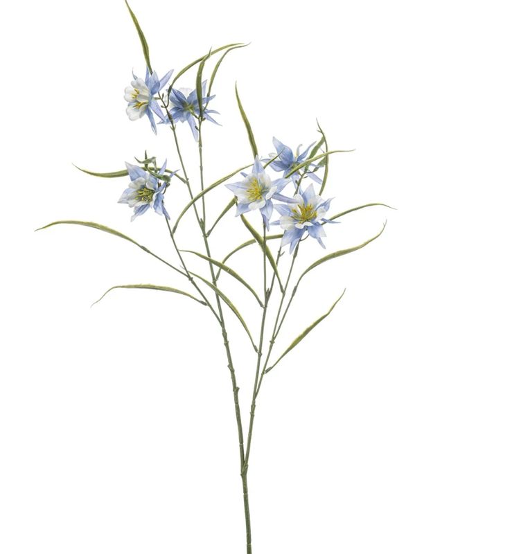 AQUILEGIA SPRAY IN BLUE 120cm