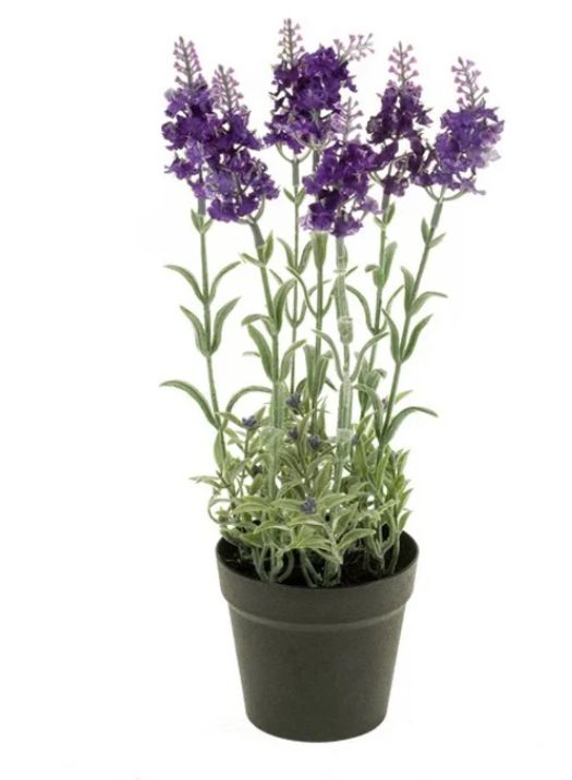 SMALL POTTED LAVENDER DARK BLUE 28cm