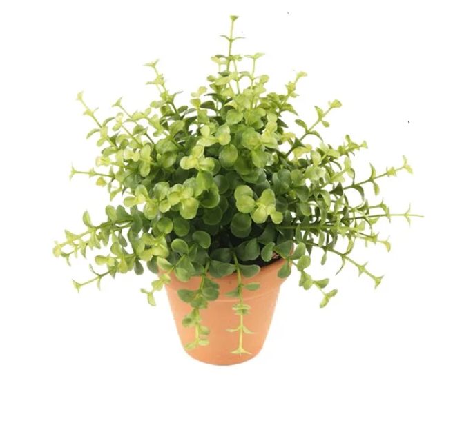 POTTED FAUX EUCALYPTUS