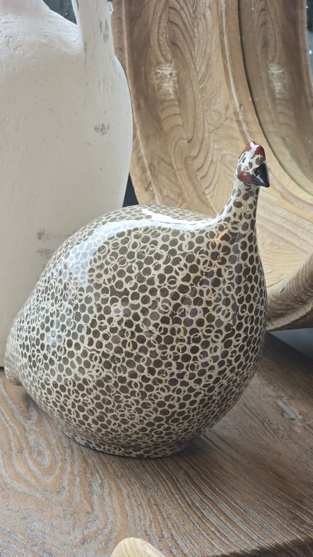 LARGE PEAT SPOTTED GUINEA FOWL
