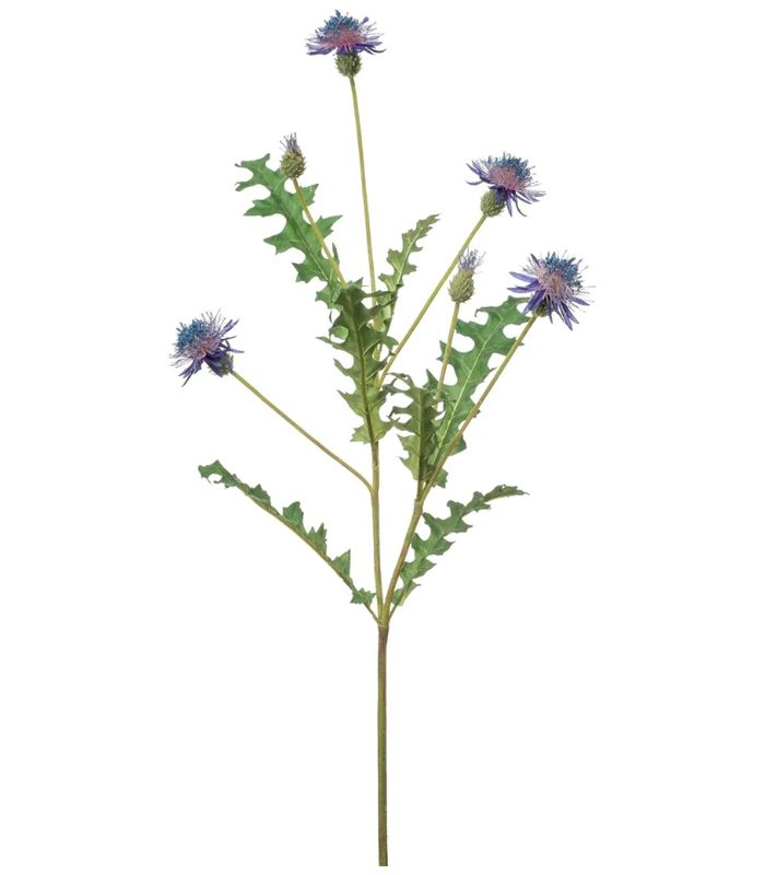 CORNFLOWER STEM 93cm
