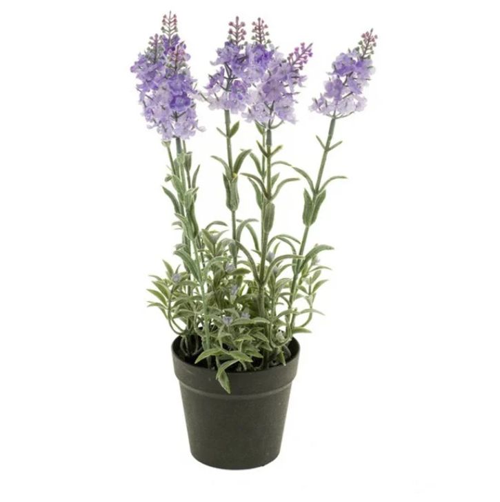 SMALL POTTED LAVENDER PLANT LIGHT BLUE 28cm