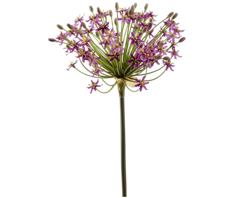 ALLIUM SPRAY IN DARK PURPLE