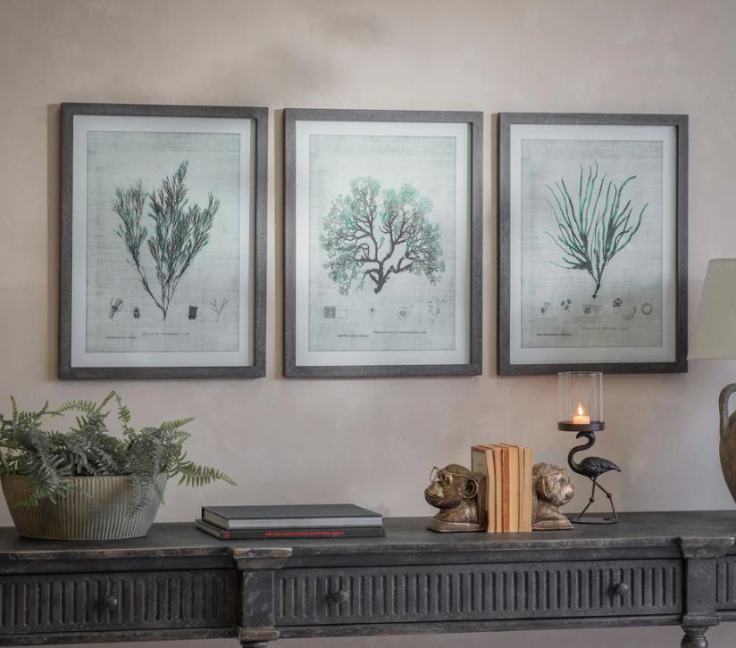 ORMINGTON SET OF 3 BOTANICAL PRINTS