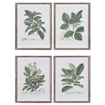 SET OF 4 PERENNIAL HERB PRINTS