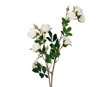 WHITE MULTI STEM FAUX ROSE