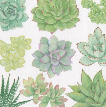 SUCCULENTS PAPER LUNCH NAPKIN 20 PACK