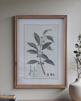 BOTANICAL WALL ART A