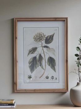 BOTANICAL WALL ART B