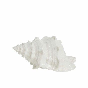 SHELLILLE DECOR LARGE D18xH9.5cm