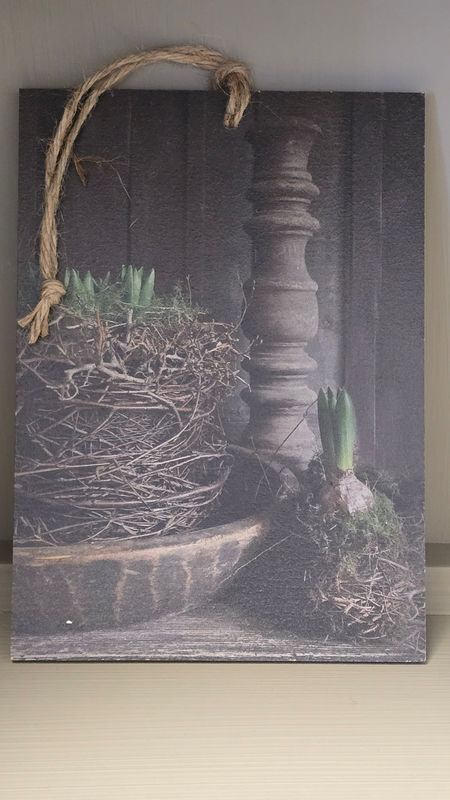 PLANTED HYACINTH NESTS IMAGE ON AN A5 DECO BOARD